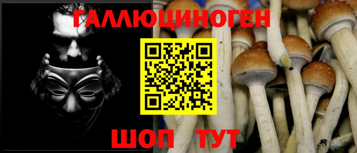 Солнечногорск  Псилоцибиновые грибы Cubensis  Вход с VPN 